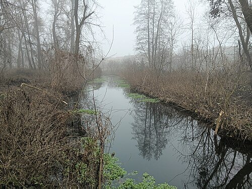 Лановецький зооботсад (зоологічний парк) — фото