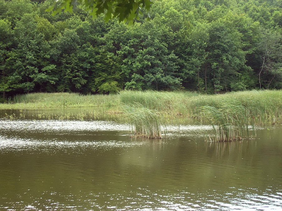 Національний природний парк «Зачарований край»