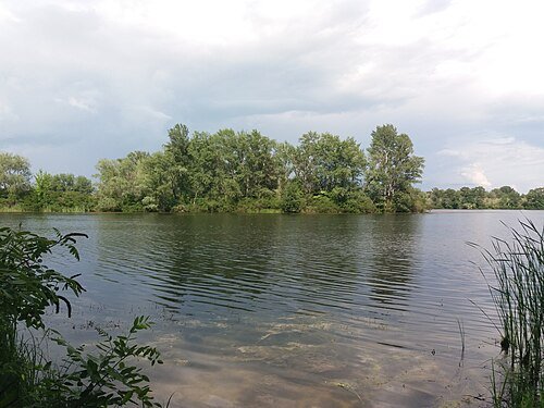 Кременчуцькі Плавні (регіональний ландшафтний парк) — фото