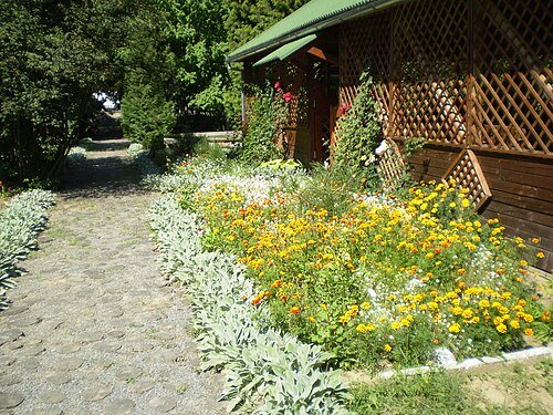 Учнівський дендрологічний парк