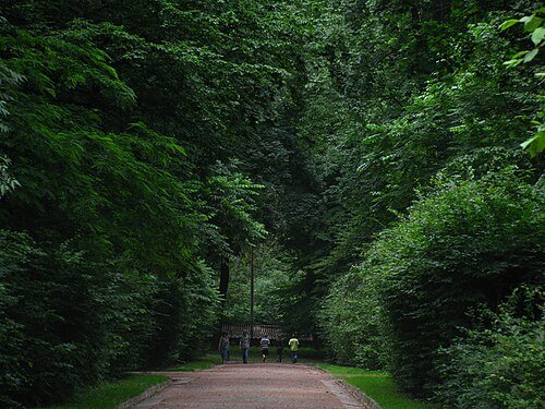 Стрийський парк — фото