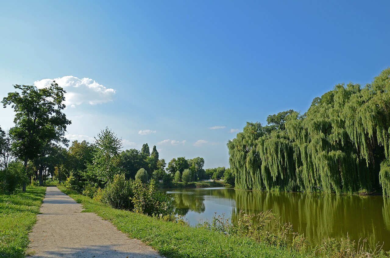 Графський парк