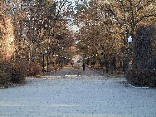 Новоолександрівський парк