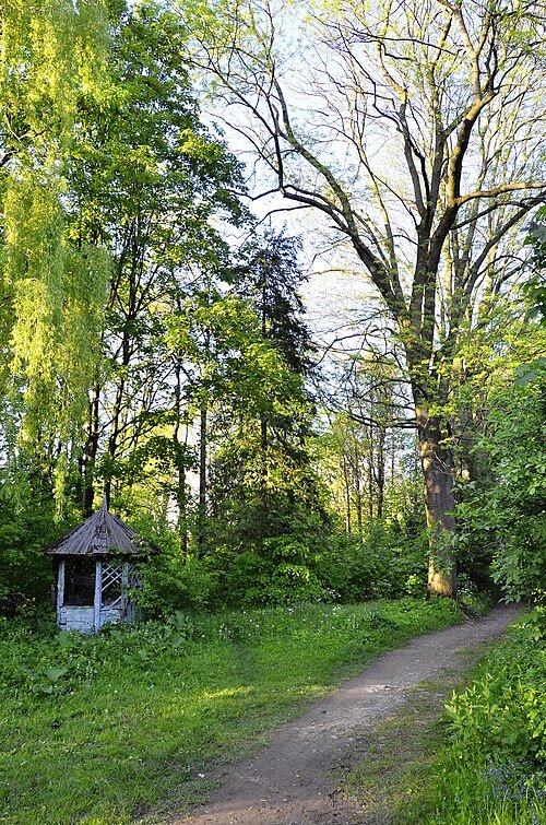 Дендрарій (парк-пам'ятка садово-паркового мистецтва)