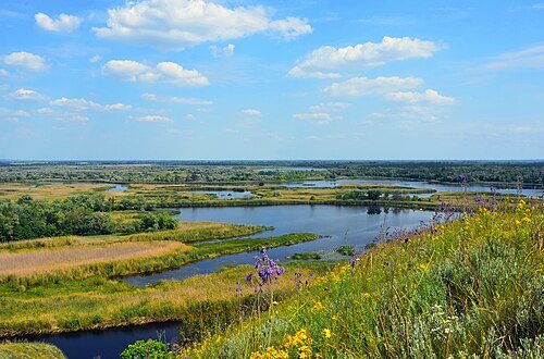 Регіональний ландшафтний парк «Нижньоворсклянський» — фото