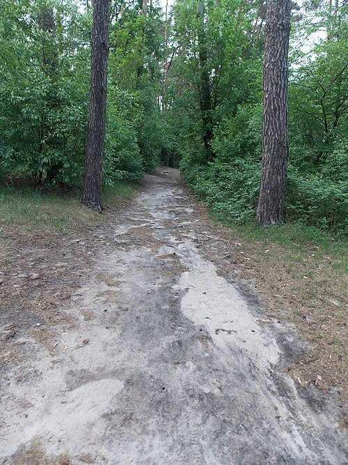 Святошинський лісопарк — фото