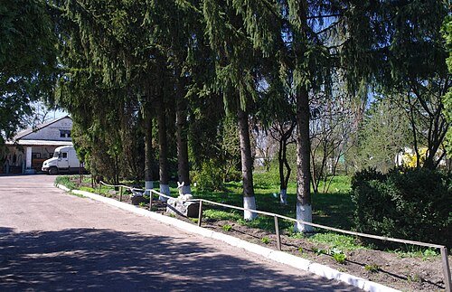 Сквер декоративного садівництва