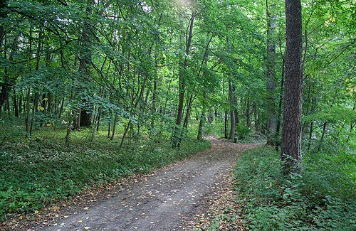 Синицький парк — фото