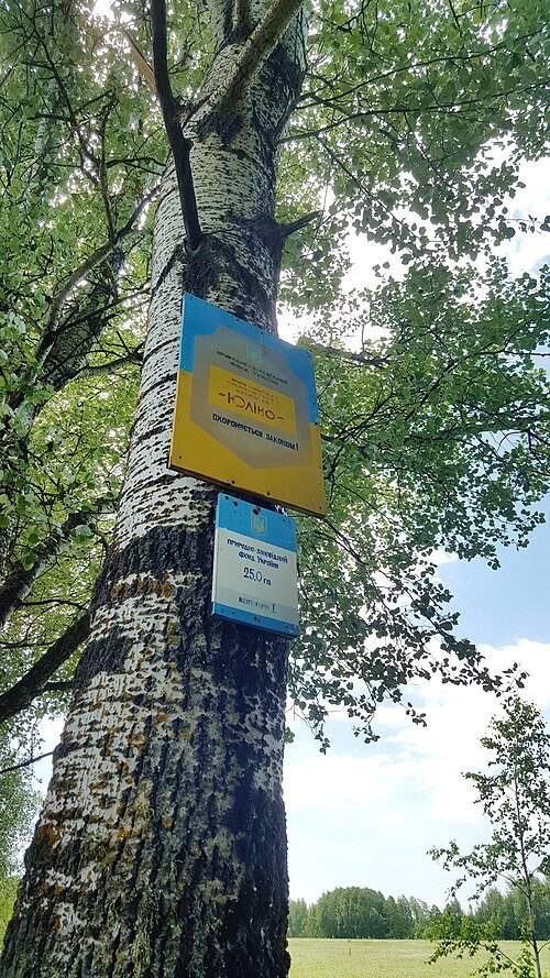 Юліно
