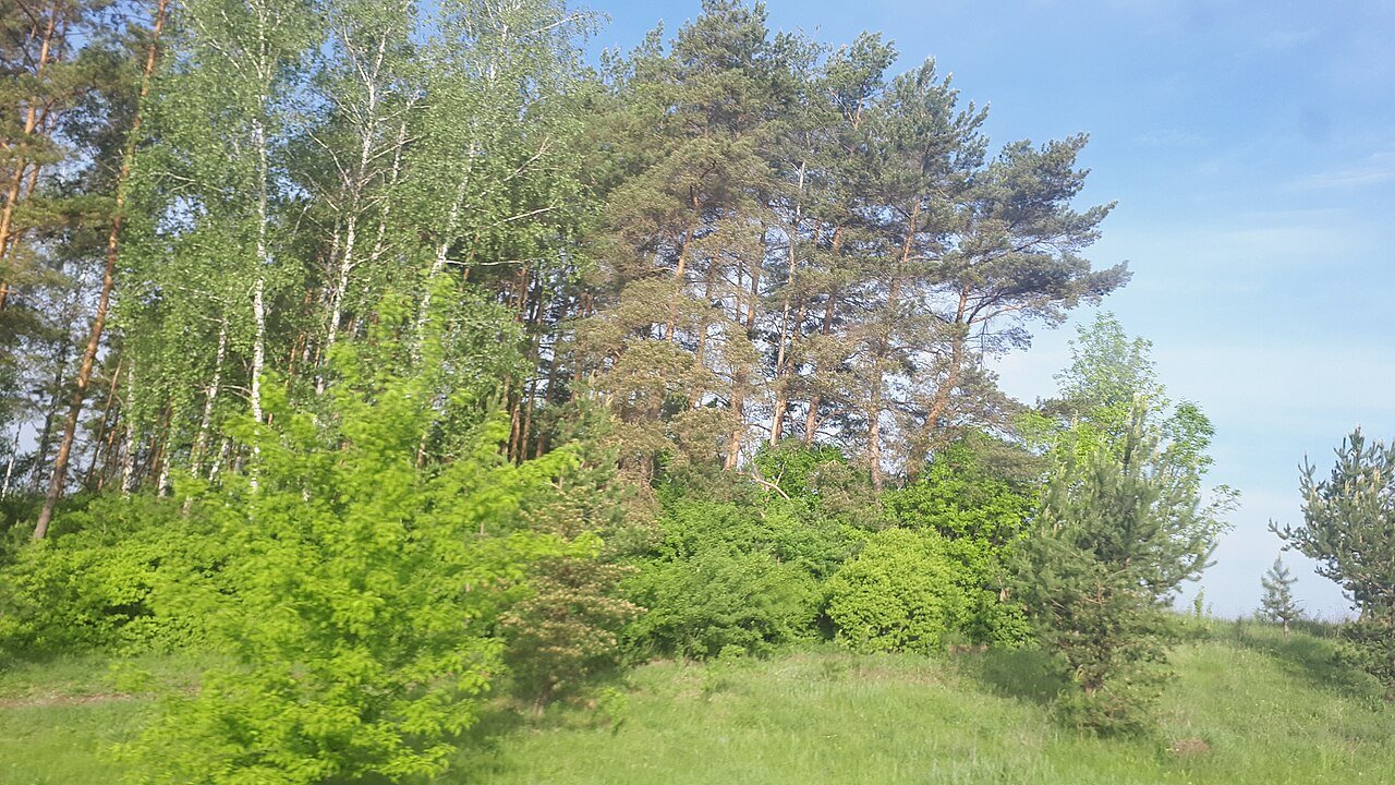 Гребениківський парк