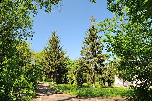 Великобурімський парк