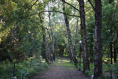 Зарізький парк — фото