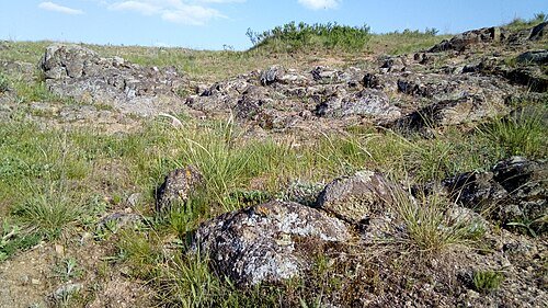 Регіональний ландшафтний парк «Половецький степ»