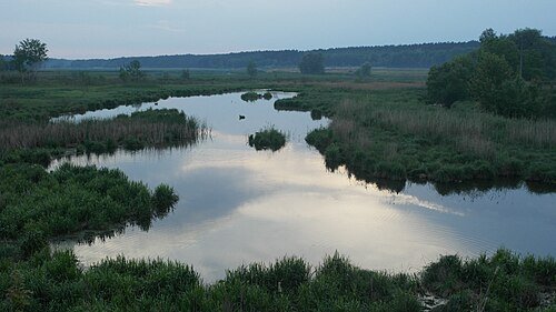 Святошинський лісопарк — фото