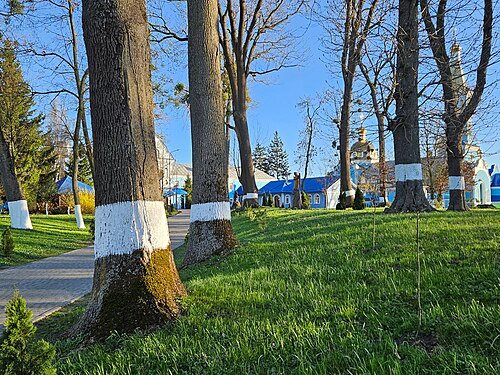 Городоцький парк — фото