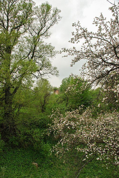 Парк XVIII ст. (Муроване)