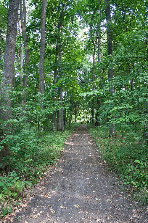 Синицький парк — фото