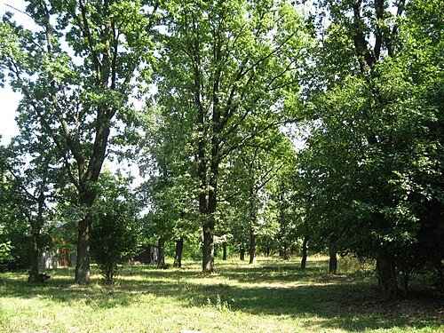 Вербківський парк