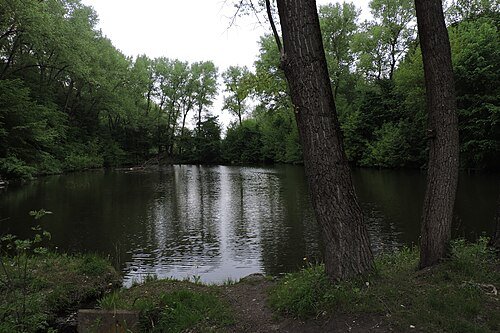Білецький парк