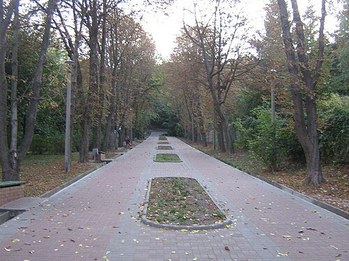 Березовий Гай