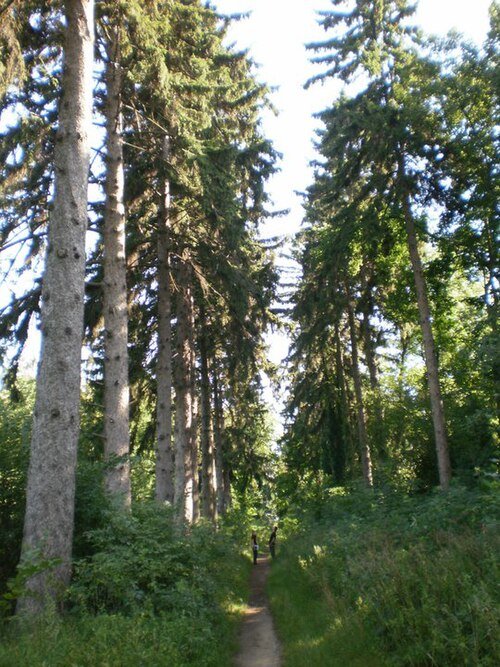 Копилівський парк
