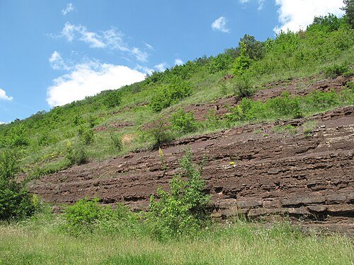 Національний природний парк «Дністровський каньйон» — фото