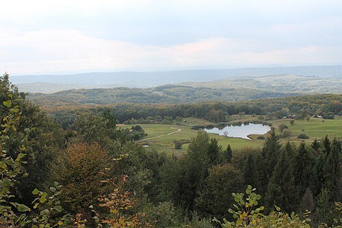 Чернівецький регіональний ландшафтний парк