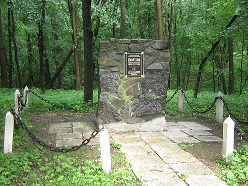 Верхівнянський парк — фото
