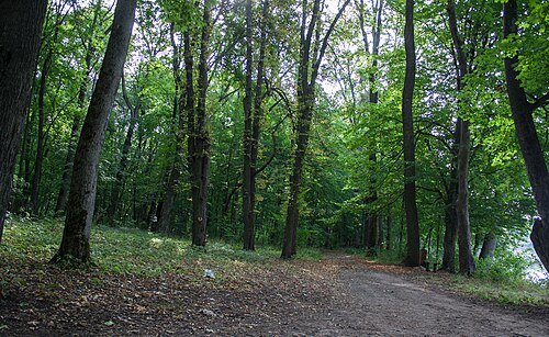 Синицький парк — фото