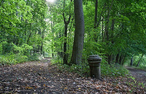 Синицький парк — фото