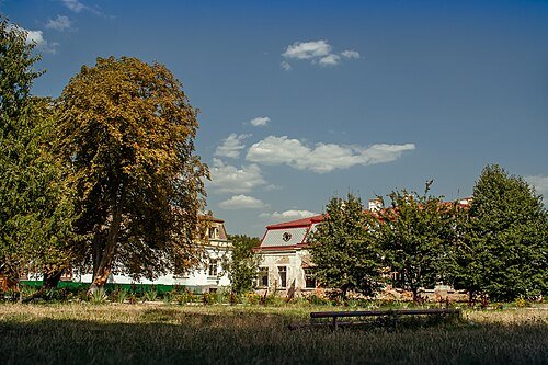 Антонінський парк