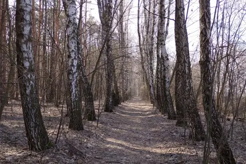 Бесідівщинський парк імені Г. Перевери — фото 11