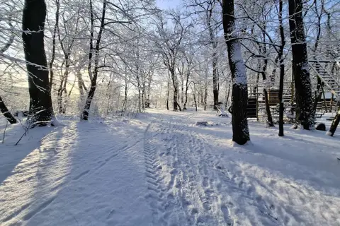 Наводницький парк — фото 10