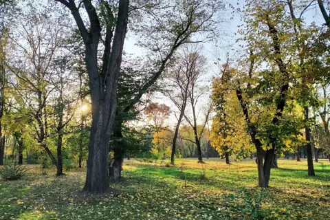 Парк культури і відпочинку імені Горького — фото 10