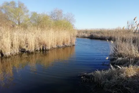 Нижньодністровський національний природний парк — фото 1