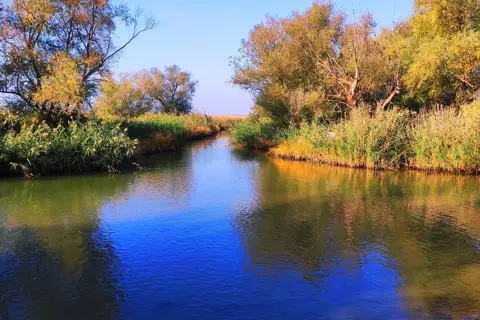 Нижньодністровський національний природний парк — фото 3