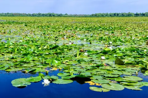 Нижньодністровський національний природний парк — фото 6