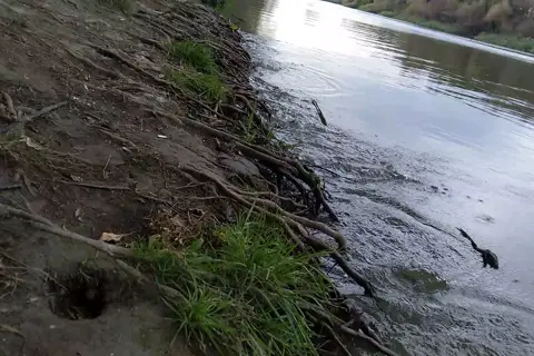 Нижньодністровський національний природний парк — фото 8