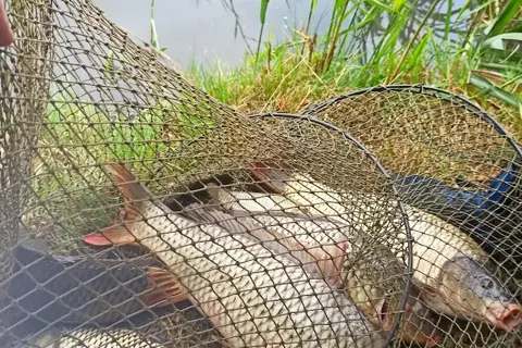 Нижньодністровський національний природний парк — фото 9