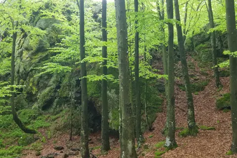 Національний природний парк «Зачарований край» — фото 5