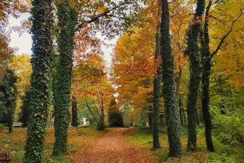 Діброва — фото 4