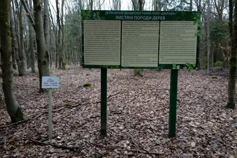 Діброва — фото 14