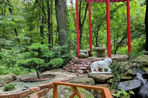 Ботанічний сад Національного університету біоресурсів і природокористування України — фото 5