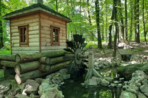 Ботанічний сад Національного університету біоресурсів і природокористування України — фото 12
