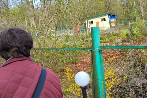 Ботанічний сад Національного університету біоресурсів і природокористування України — фото 14