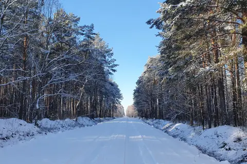 Національний природний парк «Цуманська пуща» — фото 1