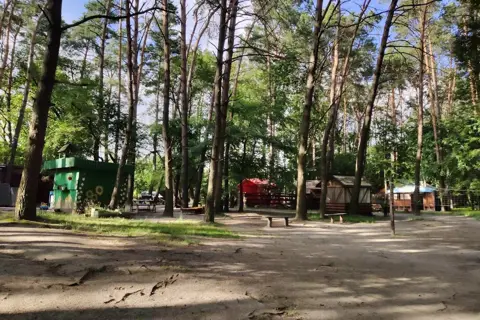 Національний природний парк «Цуманська пуща» — фото 3