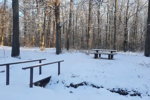 Національний природний парк «Цуманська пуща» — фото 7