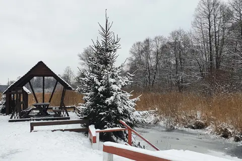 Національний природний парк «Цуманська пуща» — фото 11