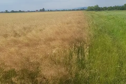 Регіональний ландшафтний парк «Притисянський» — фото 2